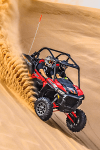 2 Seater Polaris RZR 1000 CC Buggy