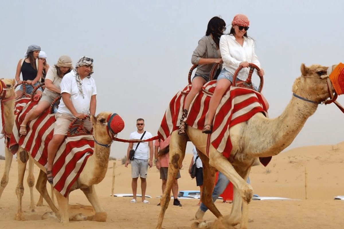 Morning Desert Safari camel ride