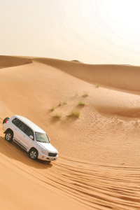 jeep in desert